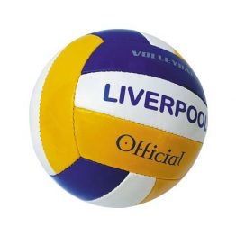 customised_volleyballs