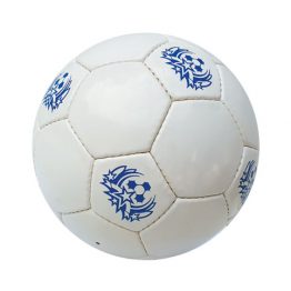 Customised-futsal-balls-in-Australia